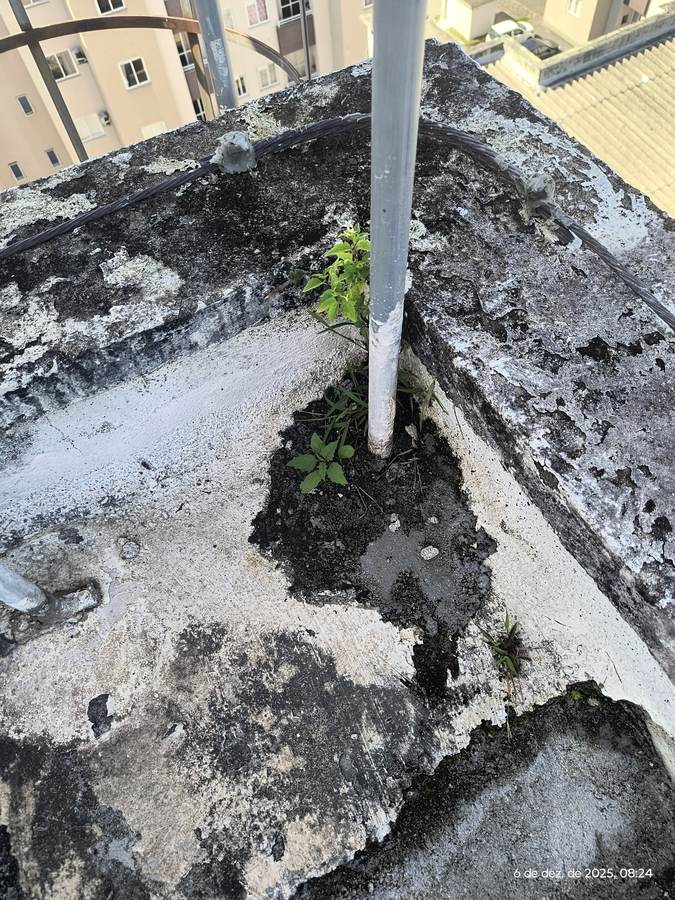 Platibanda de cobertura com impermeabilização deteriorada e vegetação nascendo junto a um tubo.